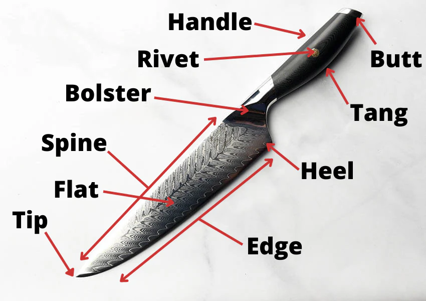 Anatomy of a Kichen Knife